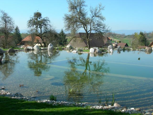 Schwimmteich Gestaltung